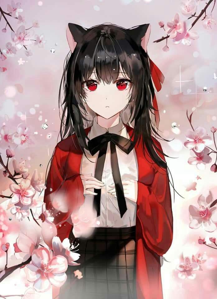 Haven Chan | Wiki | Kemonomimi ™ Amino