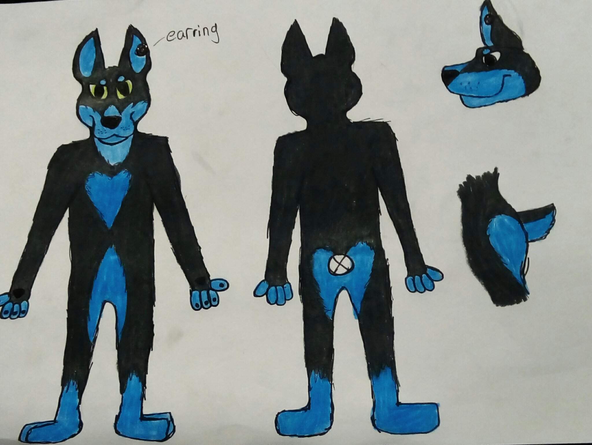 Alexander | Wiki | Furry Amino