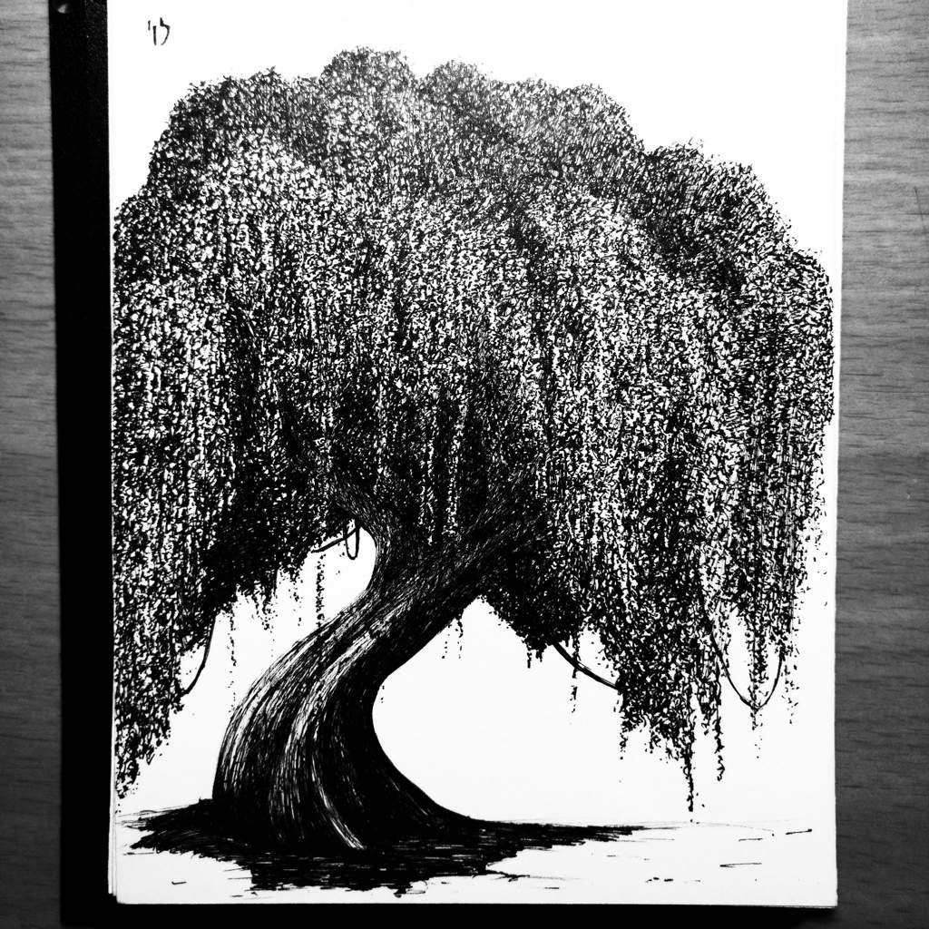 ¿CÓMO DIBUJAR UN ÁRBOL CON TINTA? 🏻 TE LO EXPLICO AQUÍ | DibujArte Amino