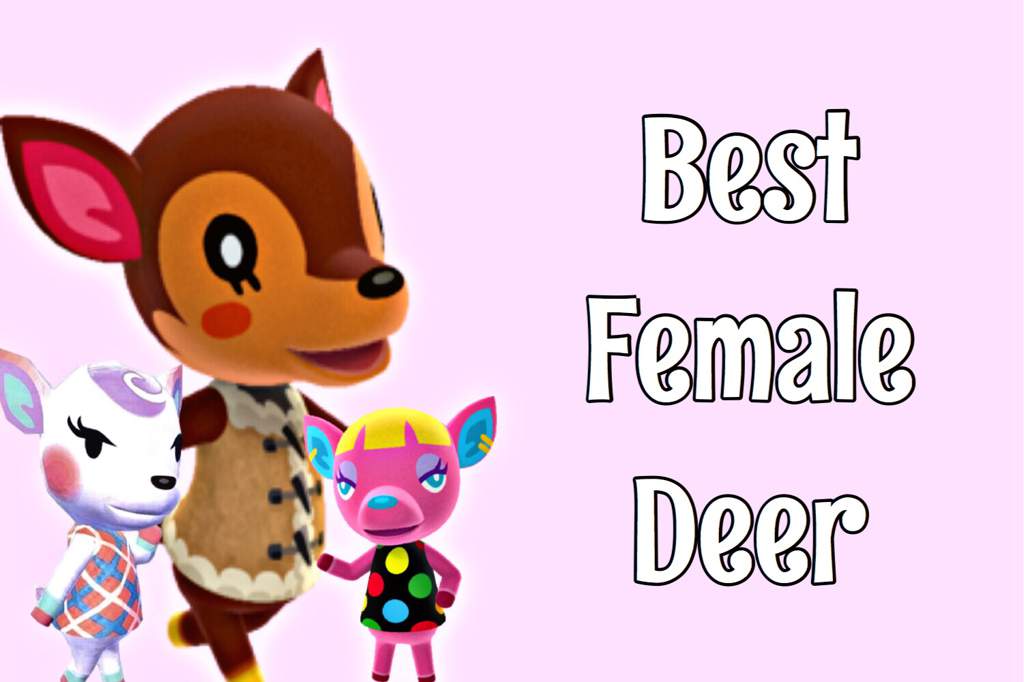 ACA’s Best Deer || Poll Results | Animal Crossing Amino