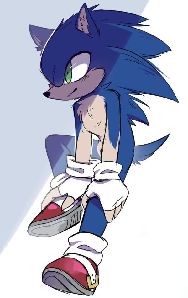 Sonic The Furry Sonic The Hedgehog Amino 2145