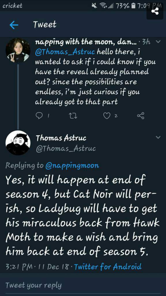 Season 4 Will Be The Reveal Cat Noir Perished In The End