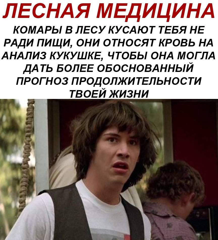Мемы. Больше мемов. ; - ; | Мемы Amino Amino