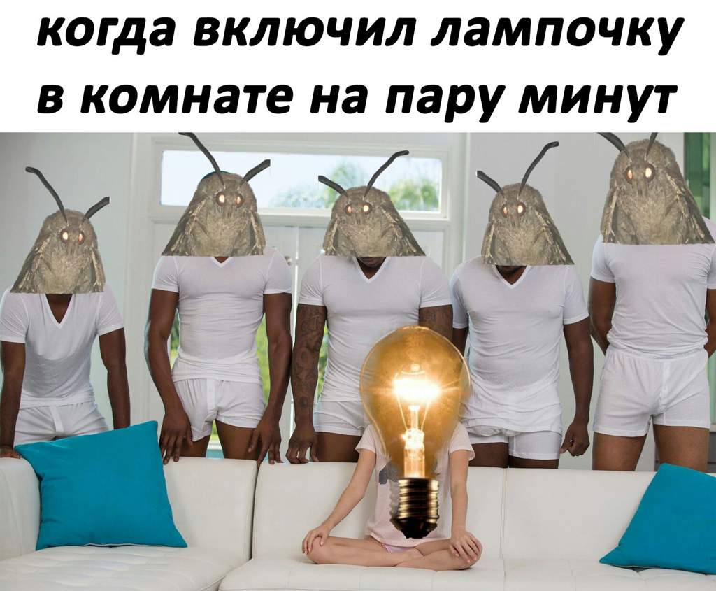 Мемы про моль