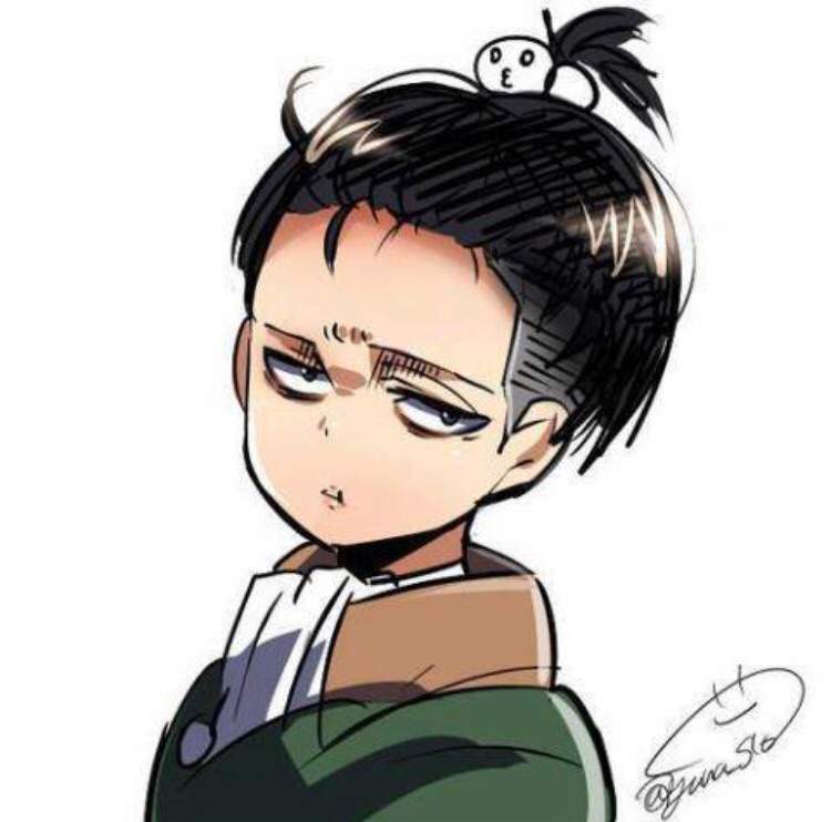 Levi Ackerman Analysis | Attack On Titan Amino