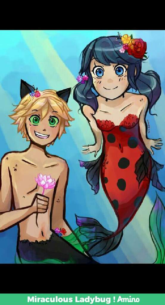 Gente Como As Sereias Vao Ao Banheiro Miraculous Ladybug Amino