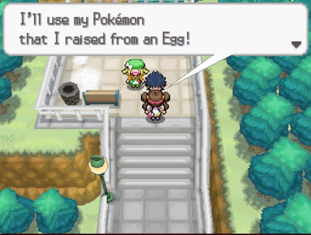 pokemon black extreme randomizer