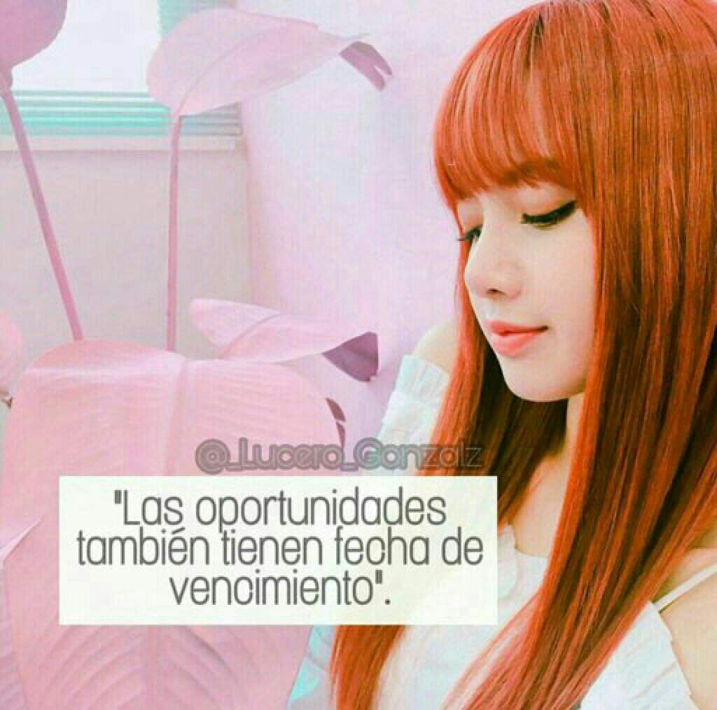 Frases inspiradoras con lisa | •BLACKPINK• Amino