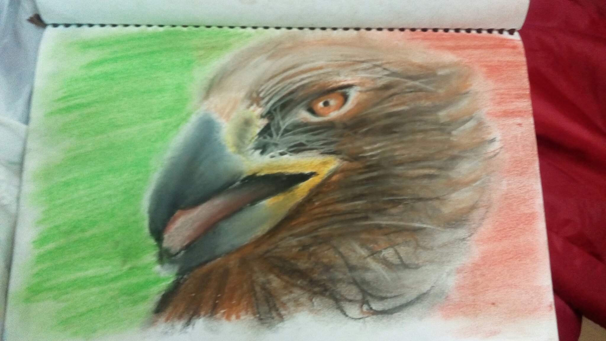 Dibujo de águila mexicana :') | DibujArte Amino