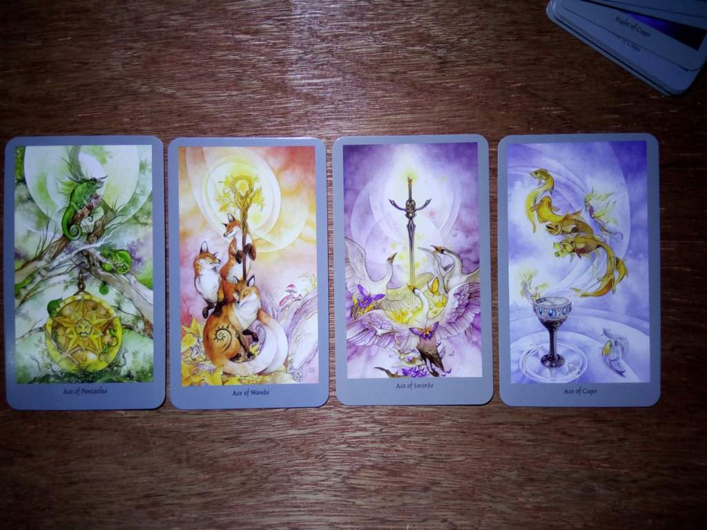 DECK SHOWCASE: Shadowscapes Tarot Deck | Pagans & Witches Amino