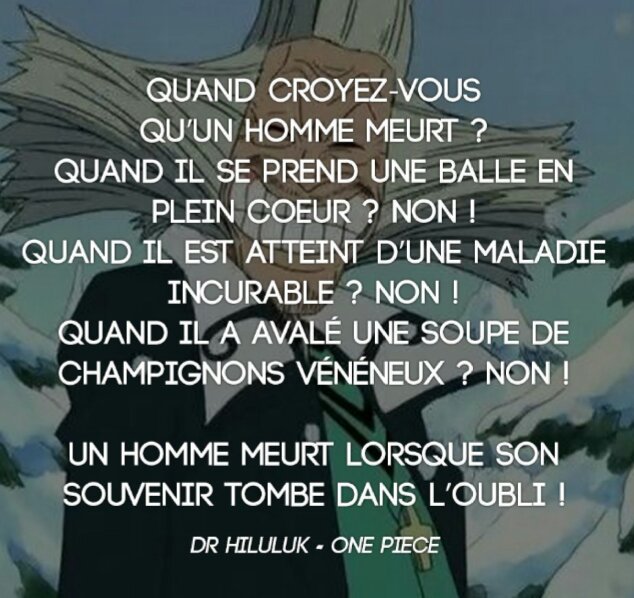 Toutes Les Phrases Cultes De One Piece One Piece Amino