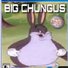 amino-Supporter of big chungus-62418025