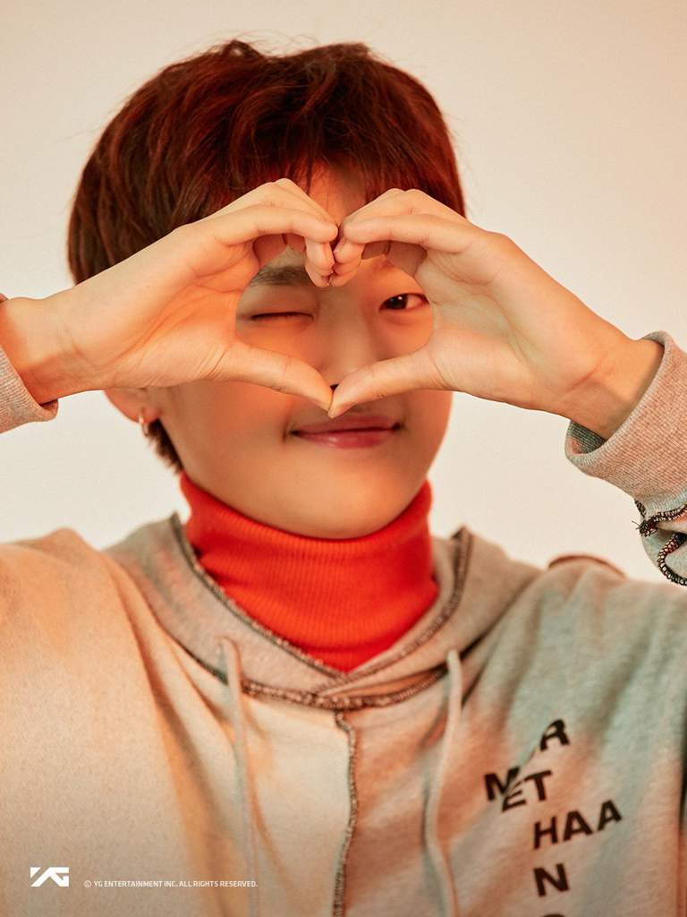 YG TREASURE BOX Wiki KPop Amino