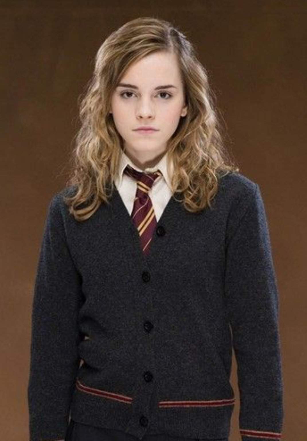 Hermione Granger | Wiki | Harry Potter Amino