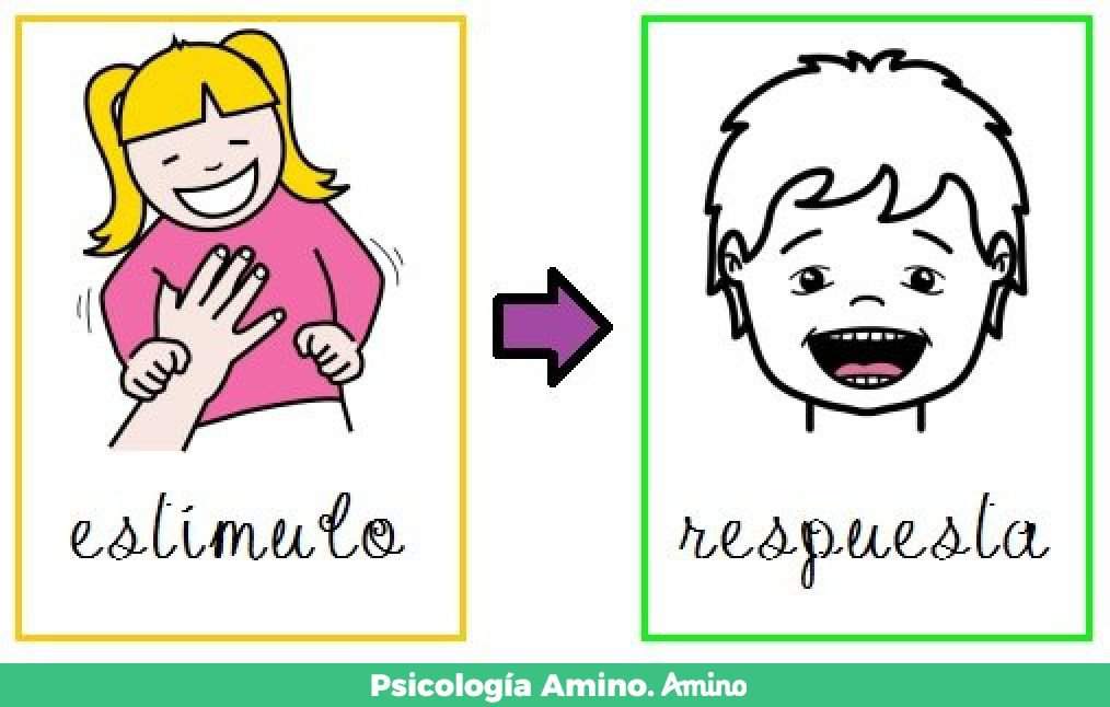 Consiste en formar asociaciones entre
estímulos y respuestas.