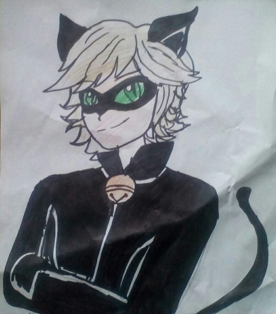 Cat Noir Drawings | Wiki | ¡Miraculous Ladybug! Amino