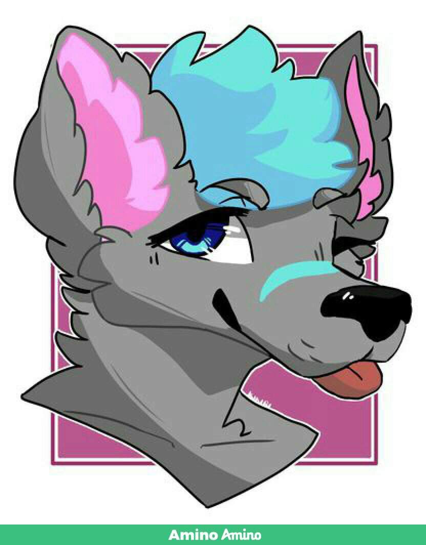 Flow | Wiki | Furry Amino