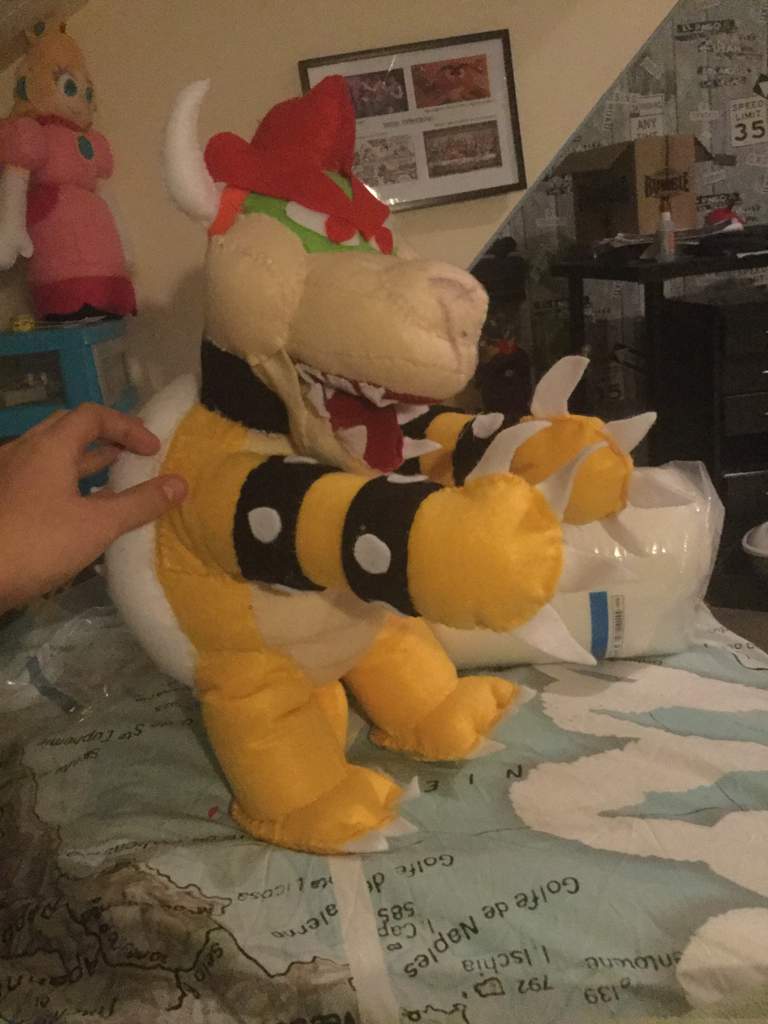 female bowser plush