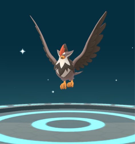 FINALLY STARAPTOR | Pokemon GO Amino