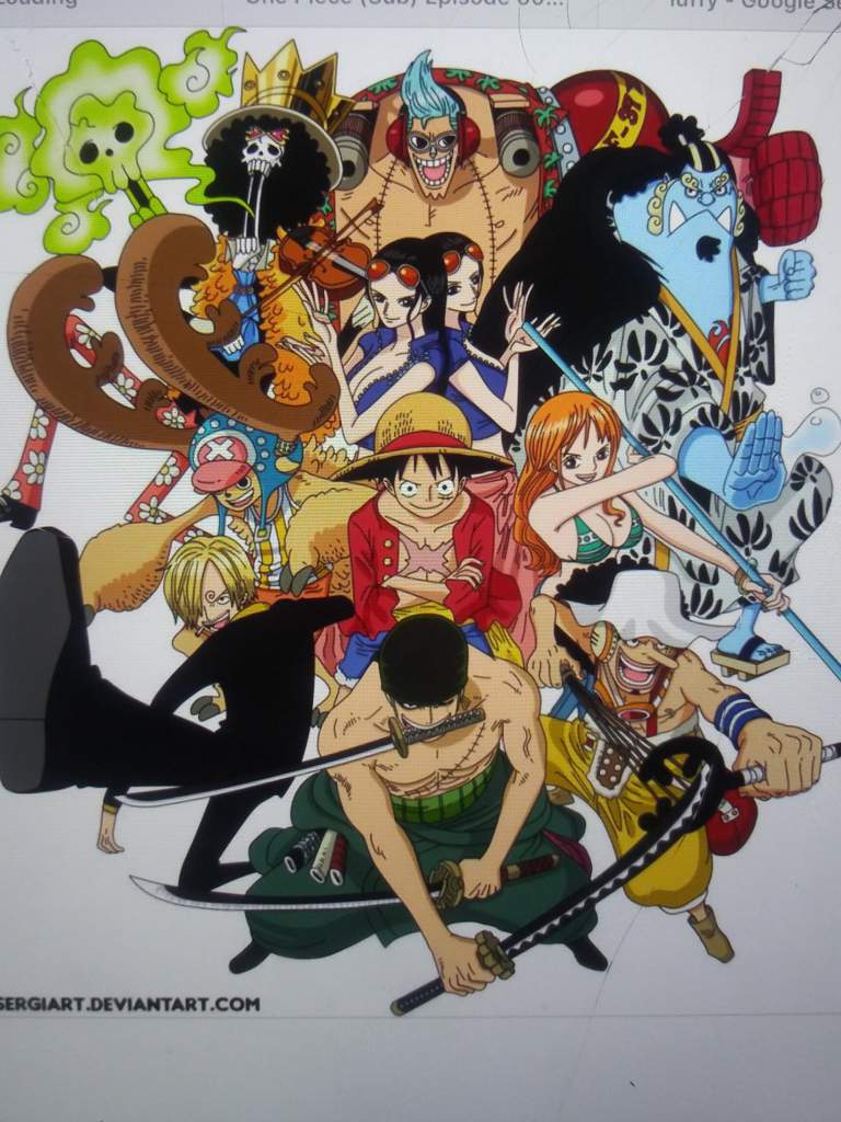 The straw hats favorite colors | Wiki | One Piece Amino