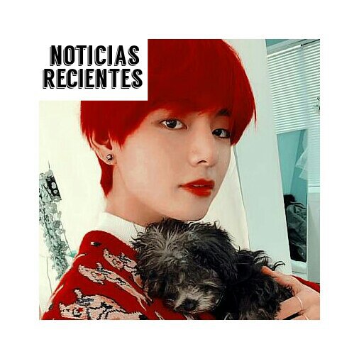 BTS & Animales 」Las Mascotas De Bangtan + BTS Como Animales 🐶🐱🐰 | ARMY ...