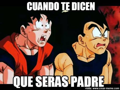 Imagen: Meme goku y vegeta - Memes en internet  | DRAGON  BALL ESPAÑOL Amino
