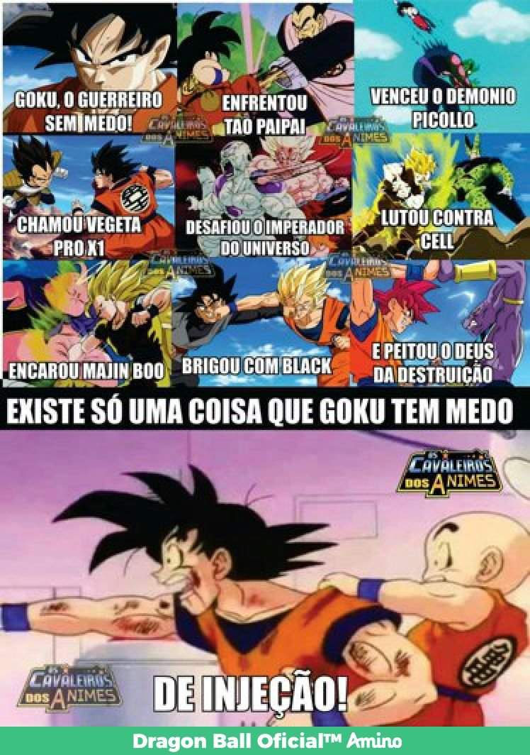 Piadas! Part 3 | Dragon Ball Oficial™ Amino