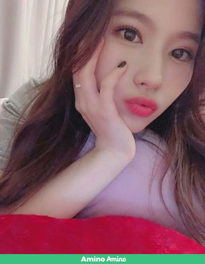 Joyeux Anniversaire Sana Twice France Amino