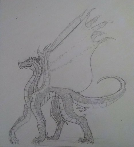 Sundew sketch | Wings Of Fire WOF Amino