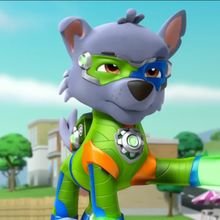 Rocky | Wiki | Paw Patrol MerPup Amino