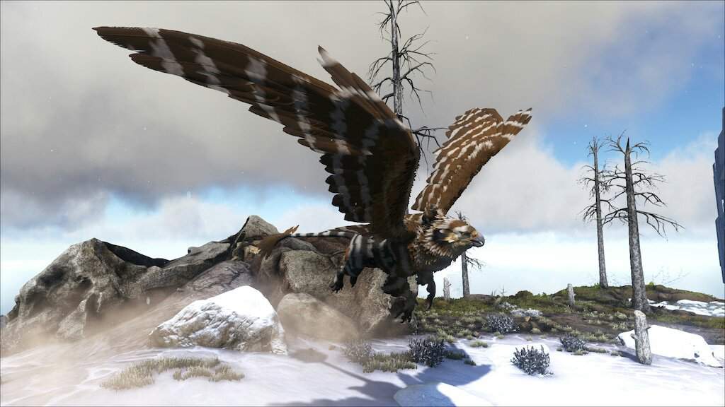 Griffin Wiki Ark Survival Evolved BR Amino