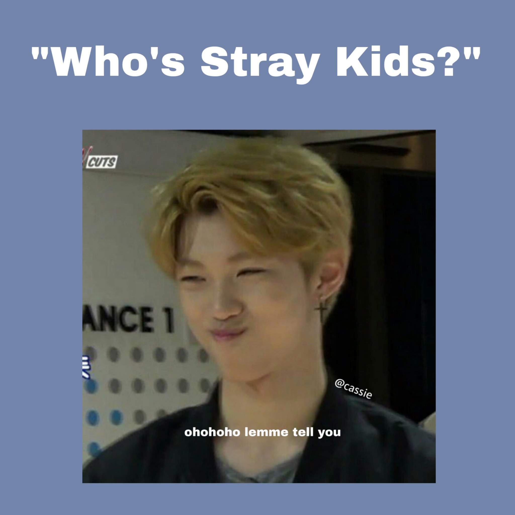 Homemade Stray Kids Memes | Stray Kids Amino