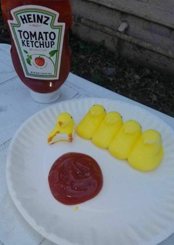 Cursed Foods Bestmemes Amino