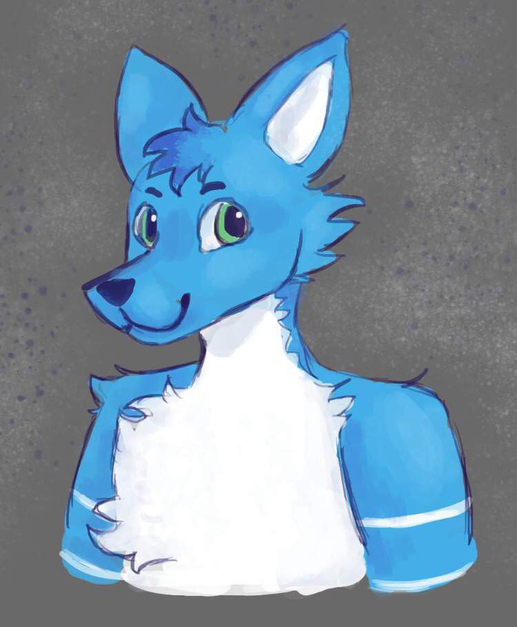 Max | Wiki | - Polskie Furry Amino - Amino