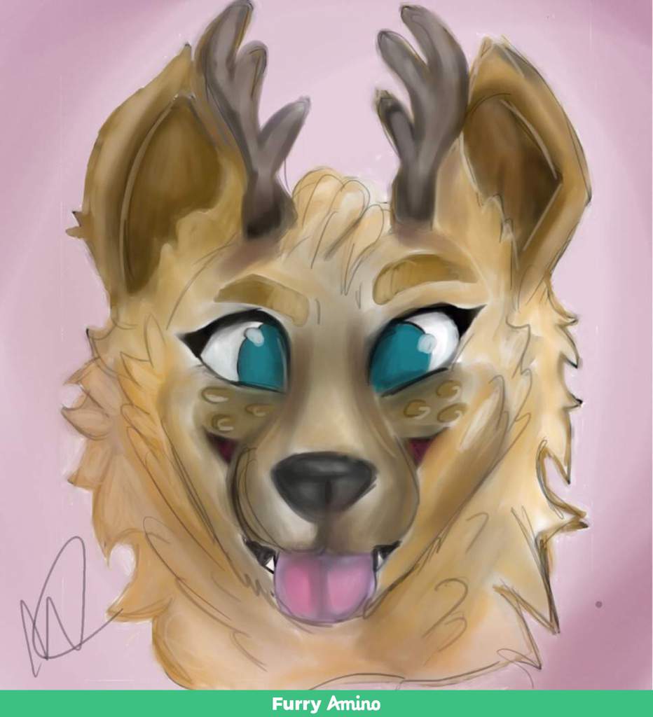 Fawn Wiki Furry Amino