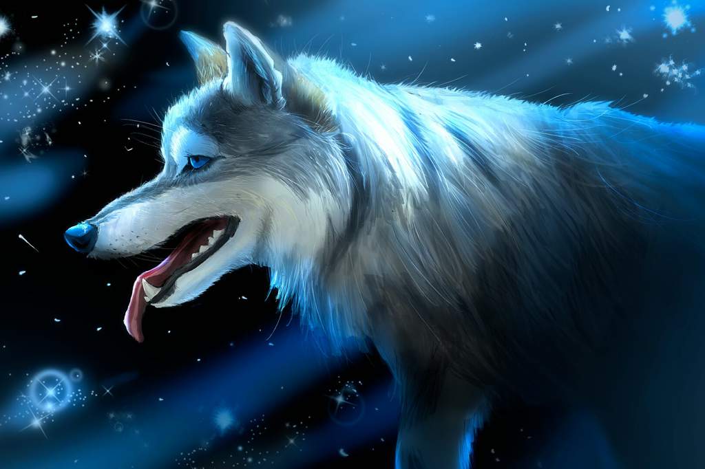 Space Wolf | Neko and Furry Aminø. Amino