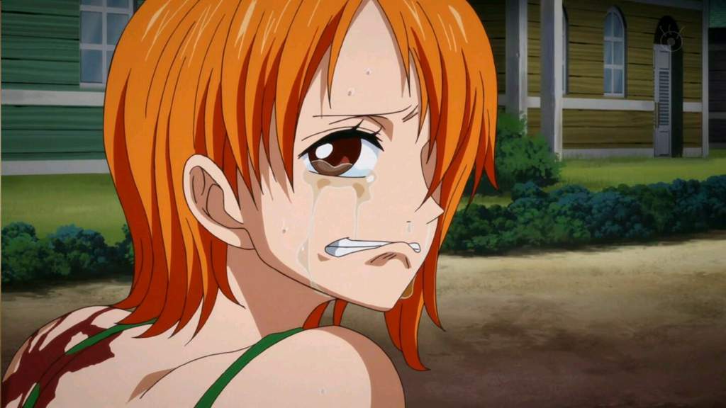 Nami o Robin ¿Cual es mejor waifu? | •One Piece• Amino