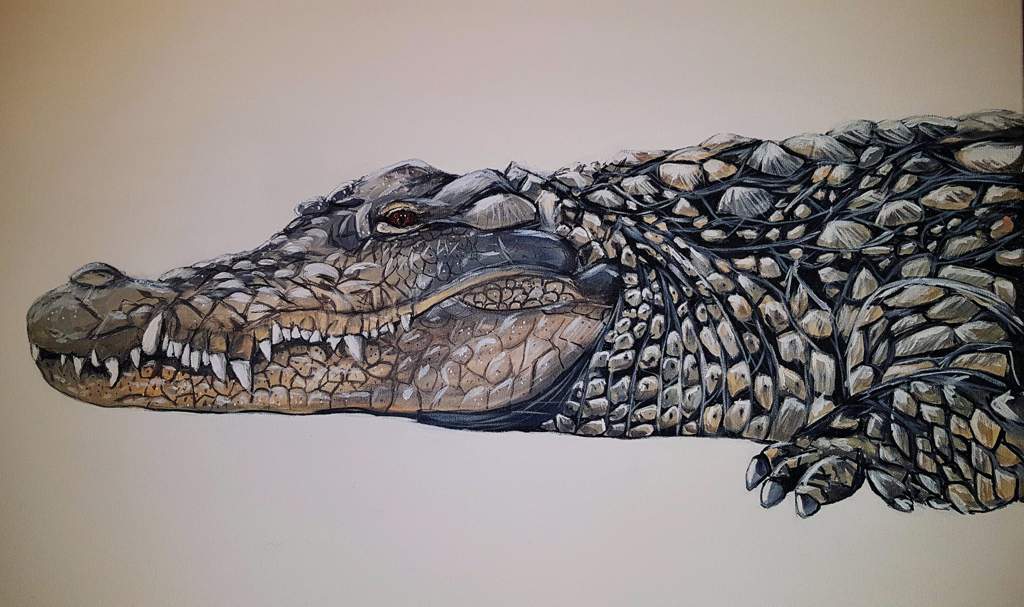 crocodile painting