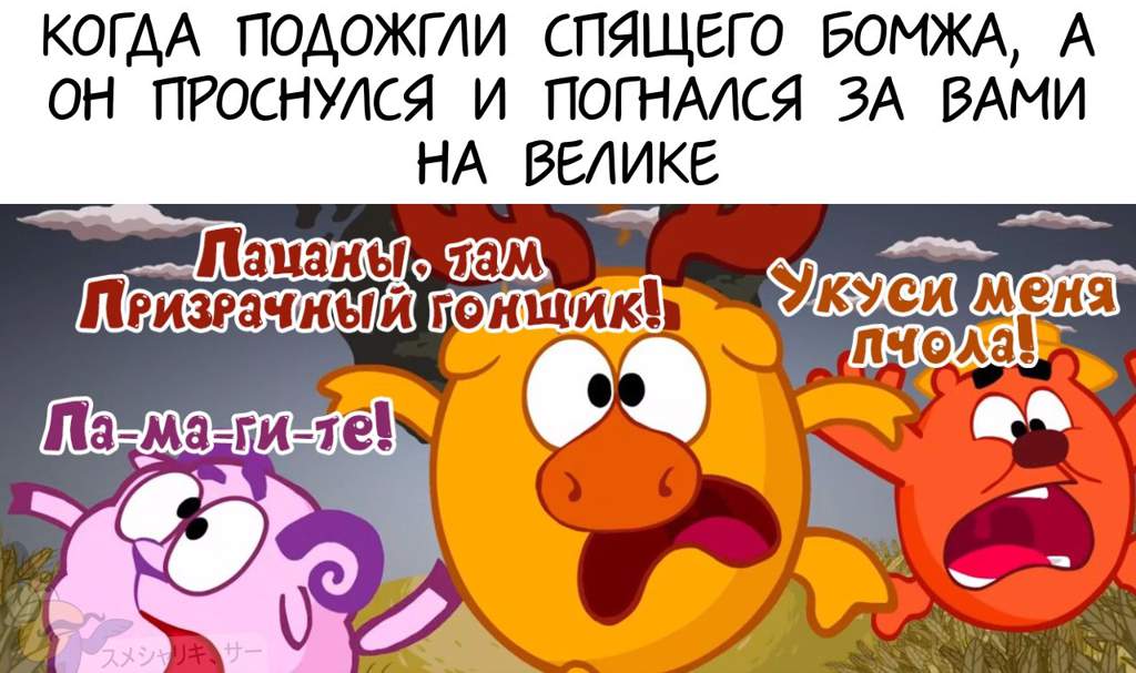 Смешарики есть ли у вас план