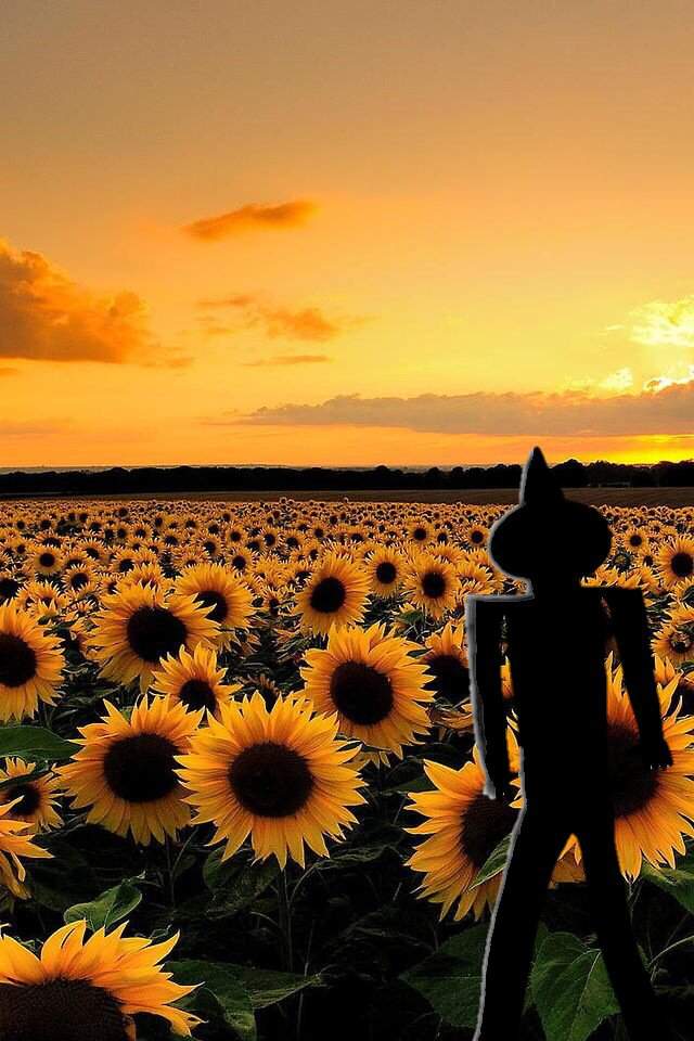 Sunset And Sunflower Drawing Bonus Roblox Amino - sunflower pics of roblox avatars