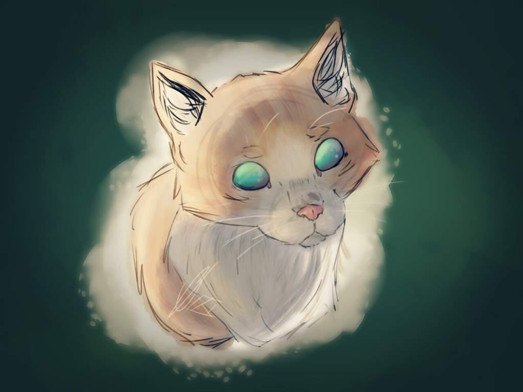 blind-kitty-speedpaint-flying-pings-art-amino