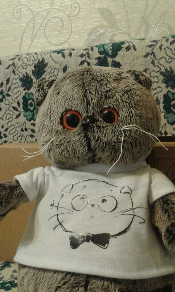 Паспорт Басика | Wiki | 🍃Basik & Co🍃[RUS] Amino