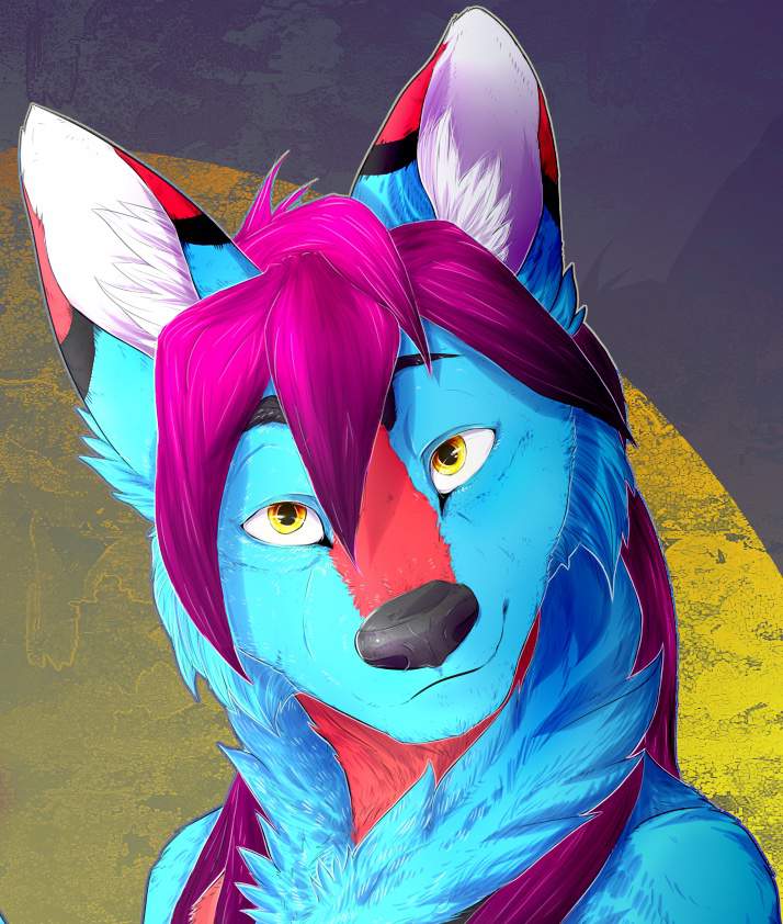 Chatzy Davis Furry Club Furry Amino