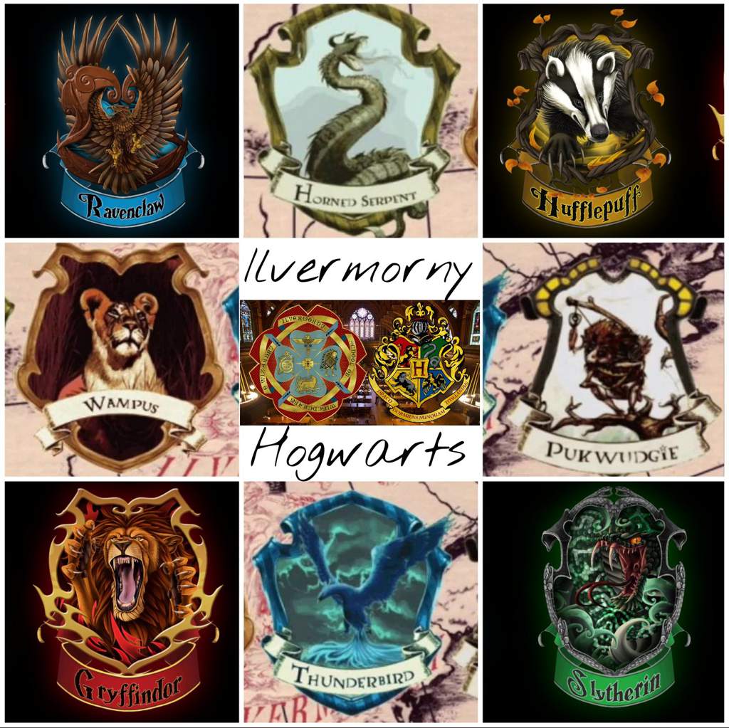♡ Reflexionando: Ilvermorny & Hogwarts ♡ | ANIMALES FANTÁSTICOS FANS Amino