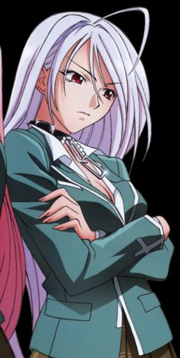 Moka Akashiya (Vampire Form) | Wiki | Anime Amino