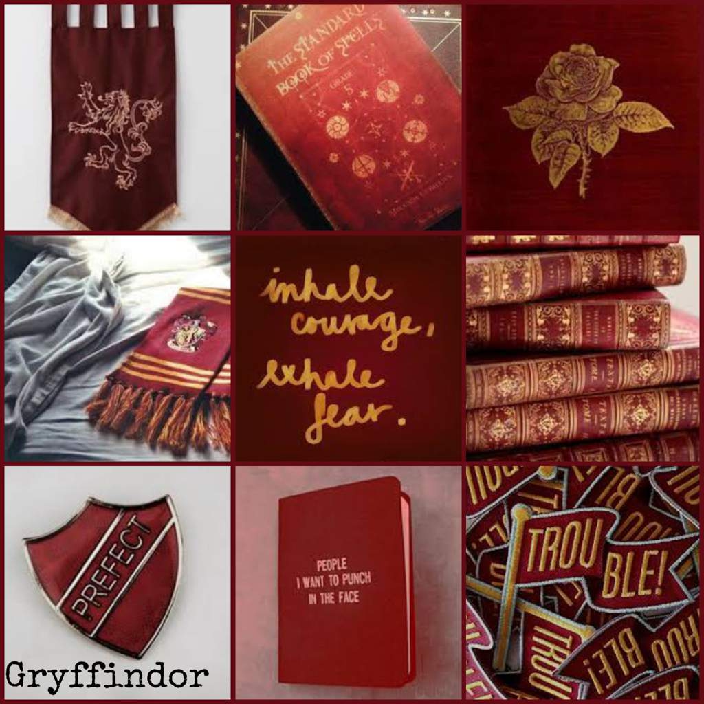 gryffindor aesthetic entry challenge gryffinclaw ravenclaw edit