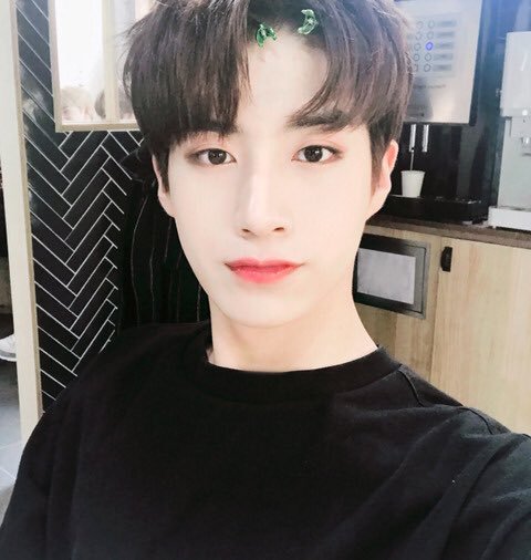 Son Dong Ju┊⋆｡˚ | Wiki | ONEUS - Amino Oficial Amino