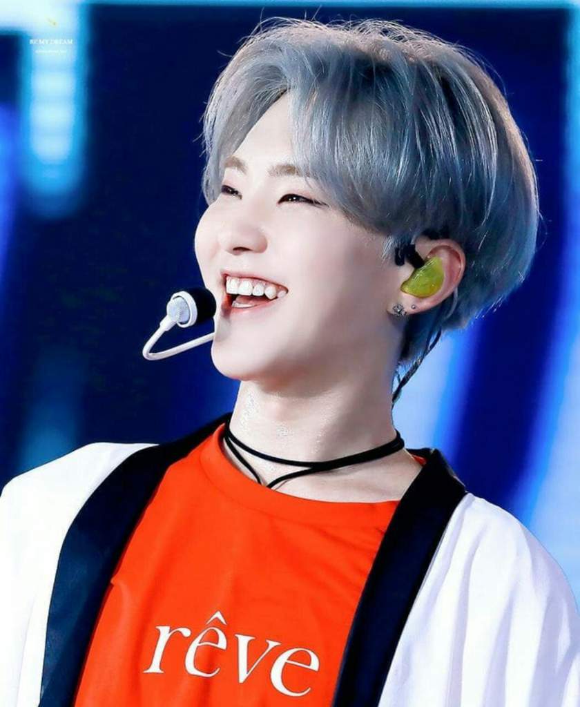 Hoshi | Wiki | SEVENTEEN Español Amino