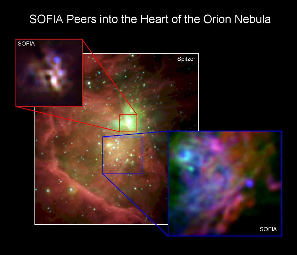 The Dragon in the Orion Nebula | Space Amino
