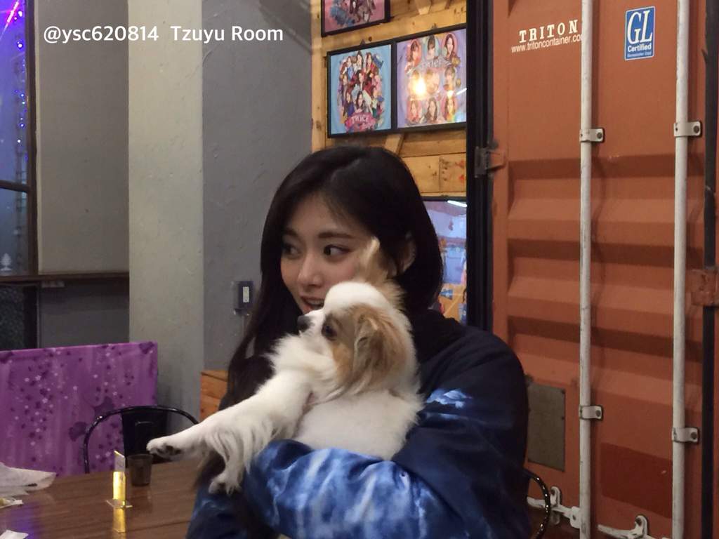 Tzuyu X Gucci In Tzuyu S Mom Cafe Twice íŠ¸ì™€ì´ìŠ¤ Chou Tzuyu Amino